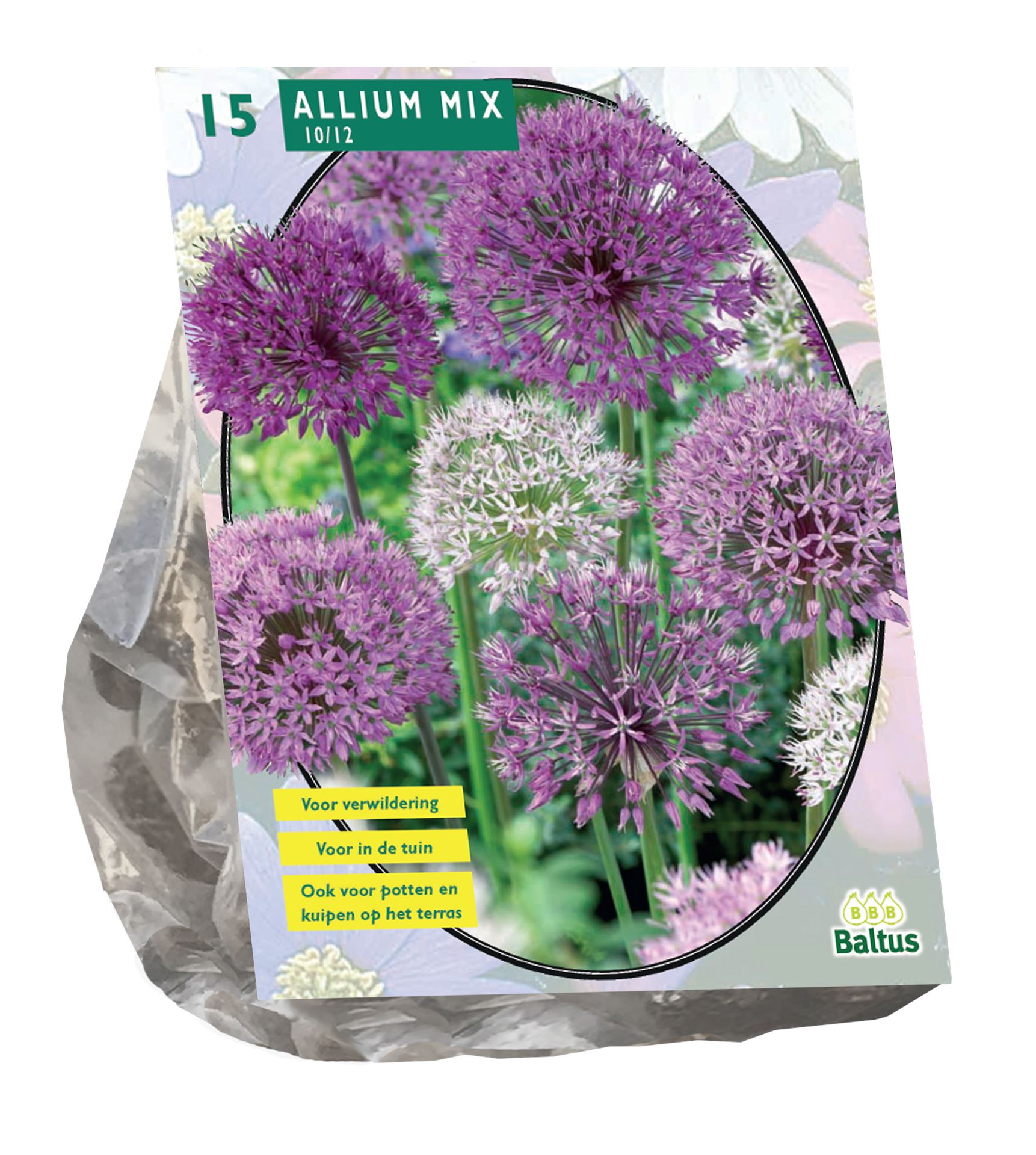 Allium-Mix-Paars-Wit-per-15