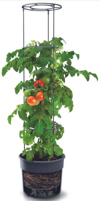 Tomato-Grower-anthracite