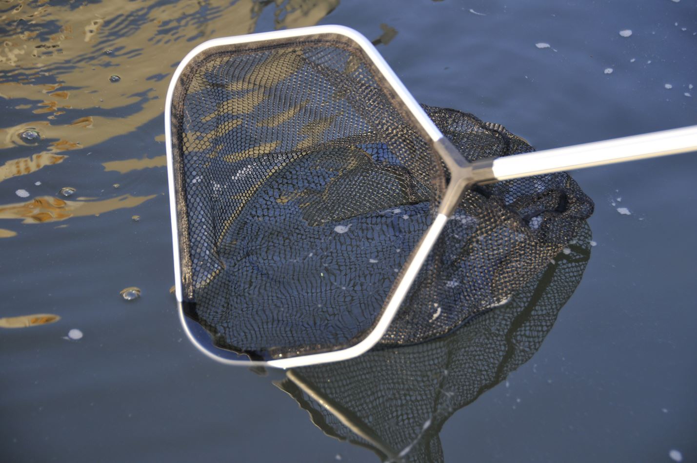  karonpeln Fish Net, Fishnet, Scoop, Catch Fish