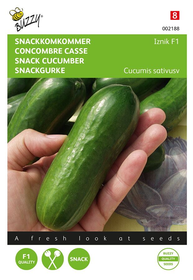 Buzzy® Cucumbers Snack seeds - Iznik