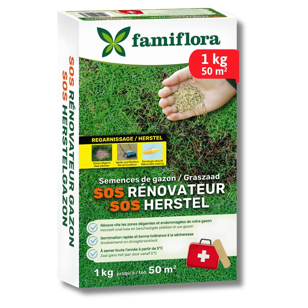 Famiflora graine de gazon 1kg jusqu'à 50m² - SOS gazon de réparation - réparation rapide des zones dégarnies
