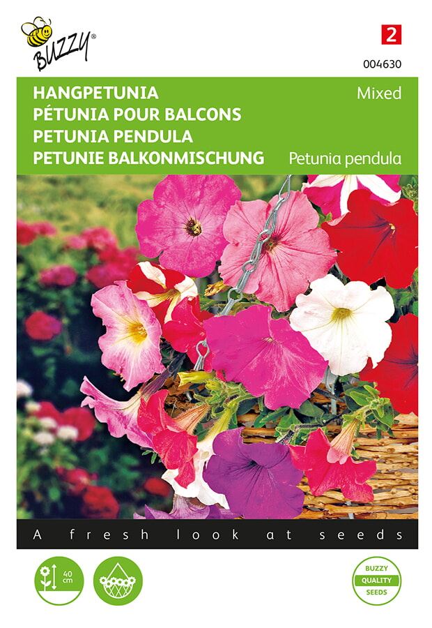 Buzzy® Graines de pétunia en suspension - Pendula - mélangées