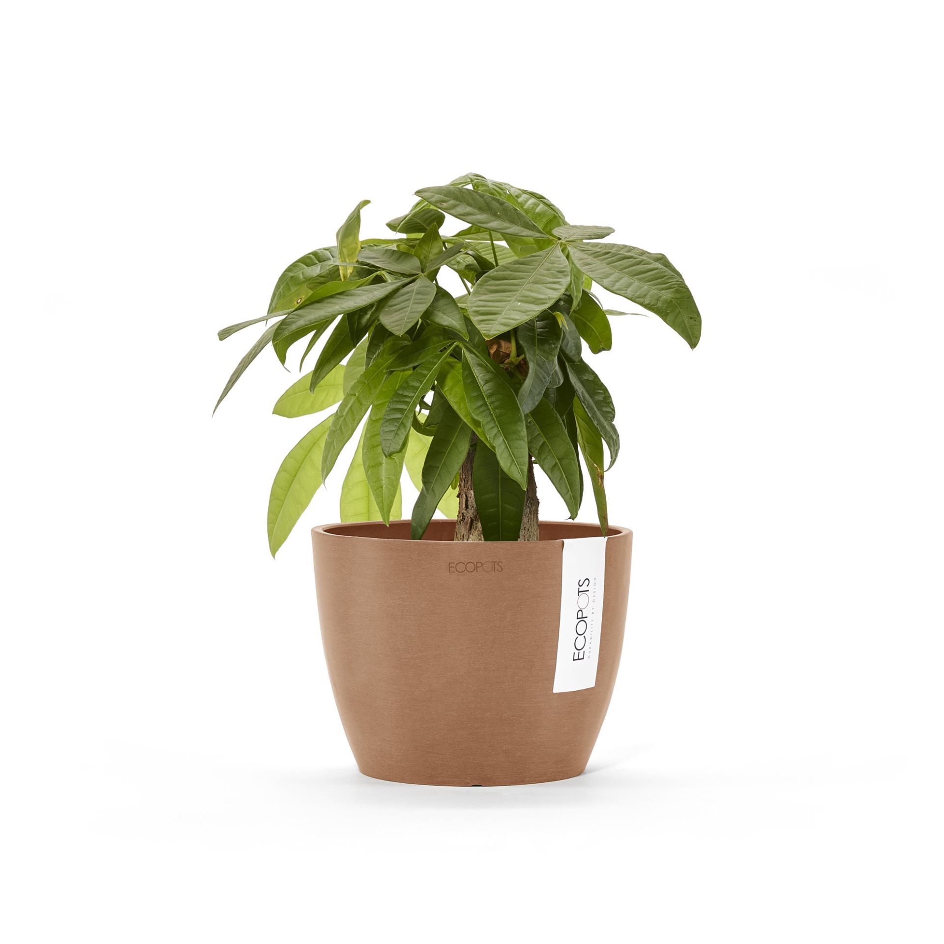 Ecopots-stockholm-mini-terra-16-cm-H12-5-cm