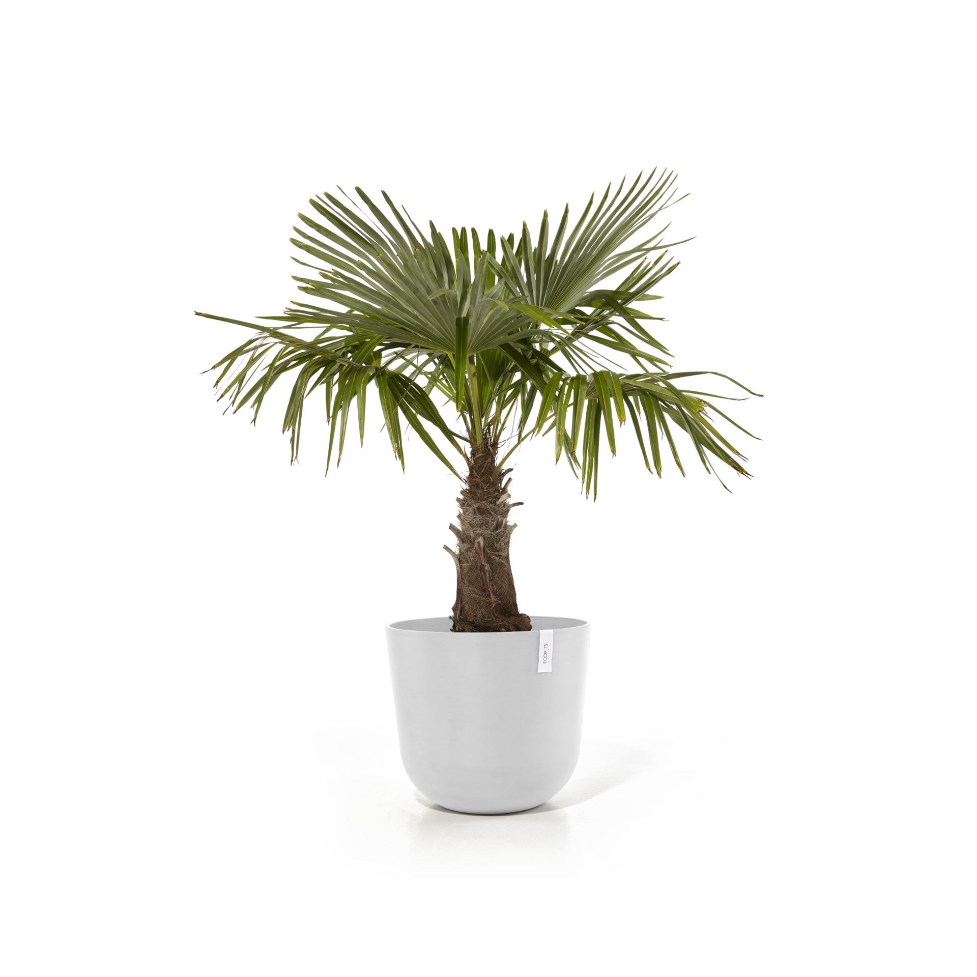 ecopots-Oslo-Pure-White-55-cm-H47-9-cm