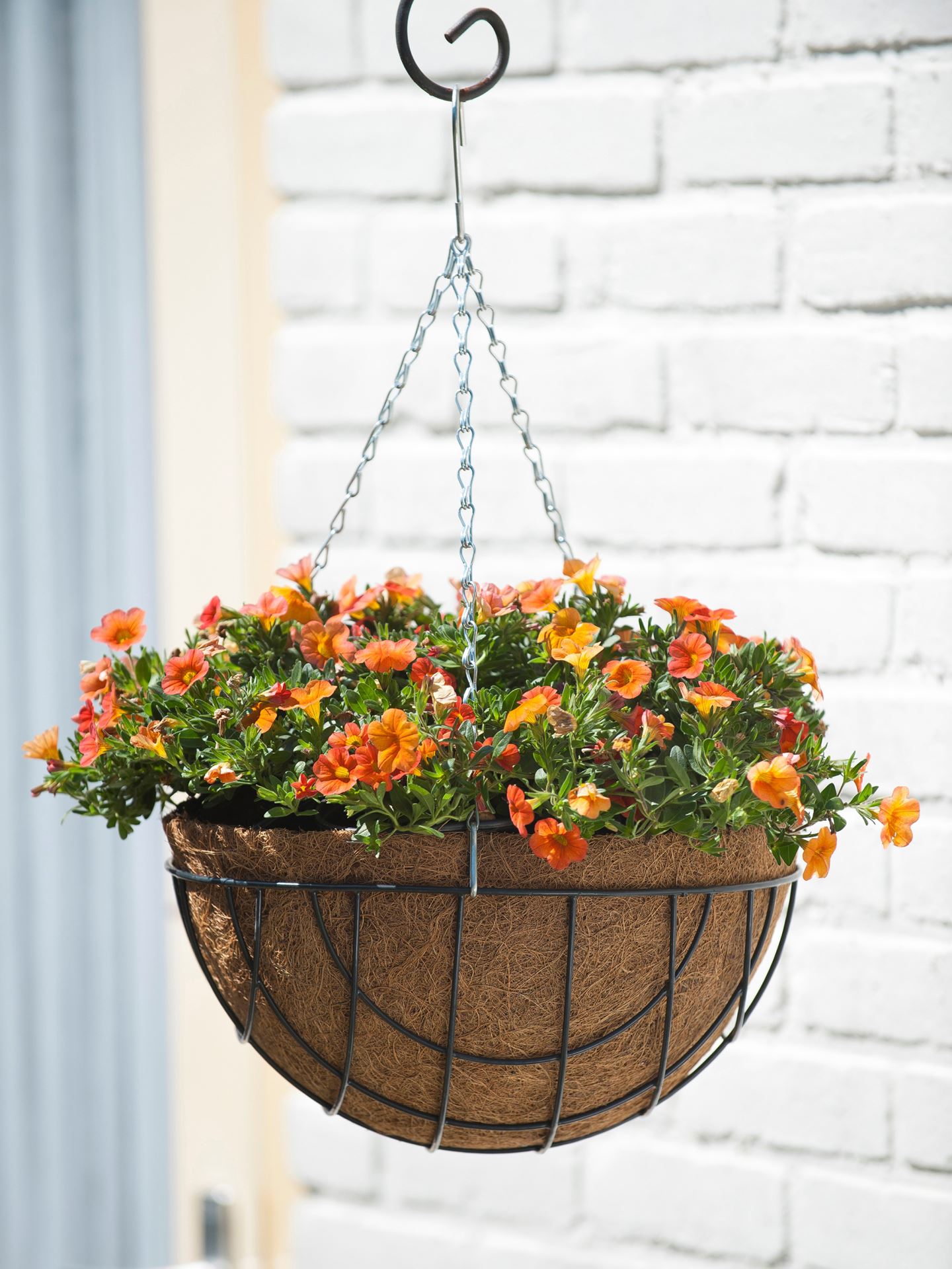 Hanging-basket-metaaldraad-groen-geepoxeerd-incl-ketting-H15-5x-35cm