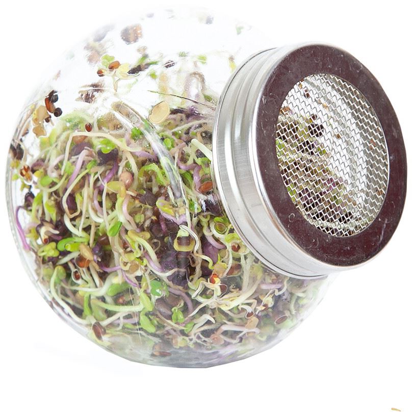 Buzzy-Organic-Spruitgroente-Pikante-Salade-glazen-pot-6-