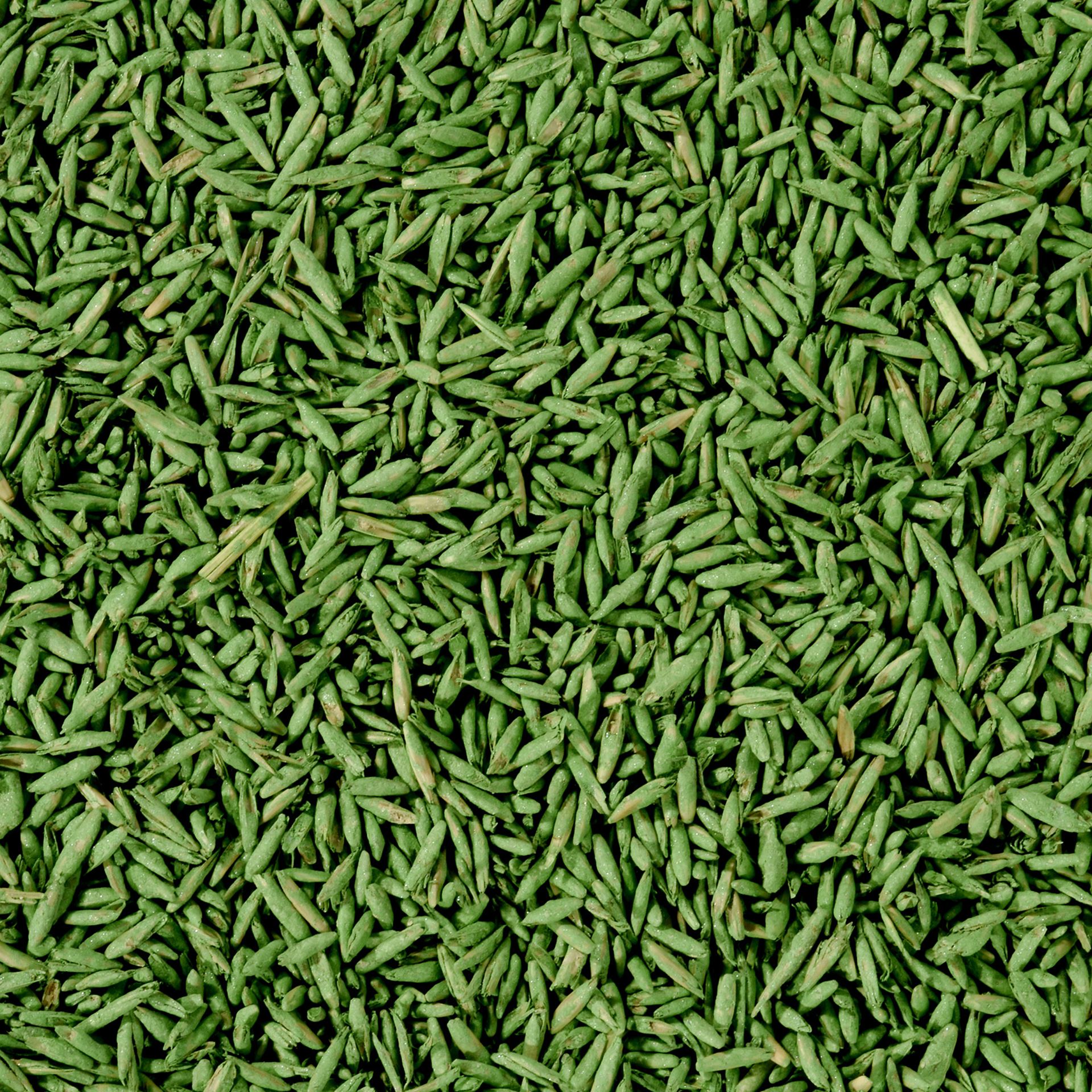 Compo-gazonzaad-sport-spel-1kg
