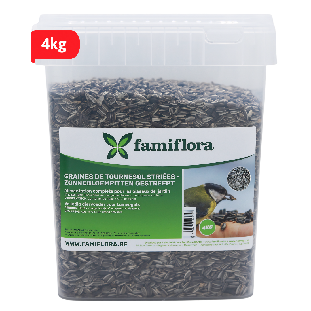 Famiflora Striped Sunflower Seeds - 4kg Bucket - Convenient Large Package - Food for Garden Birds - Winter Food