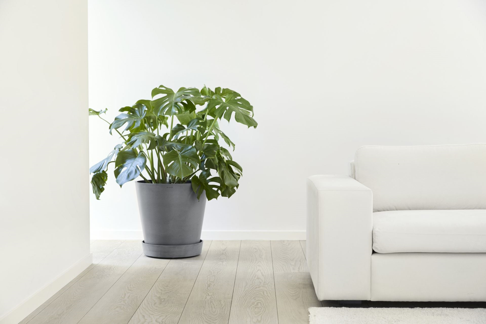 Ecopots saucer on wheels - Round - Grey - Diameter 41,6 x H9 cm