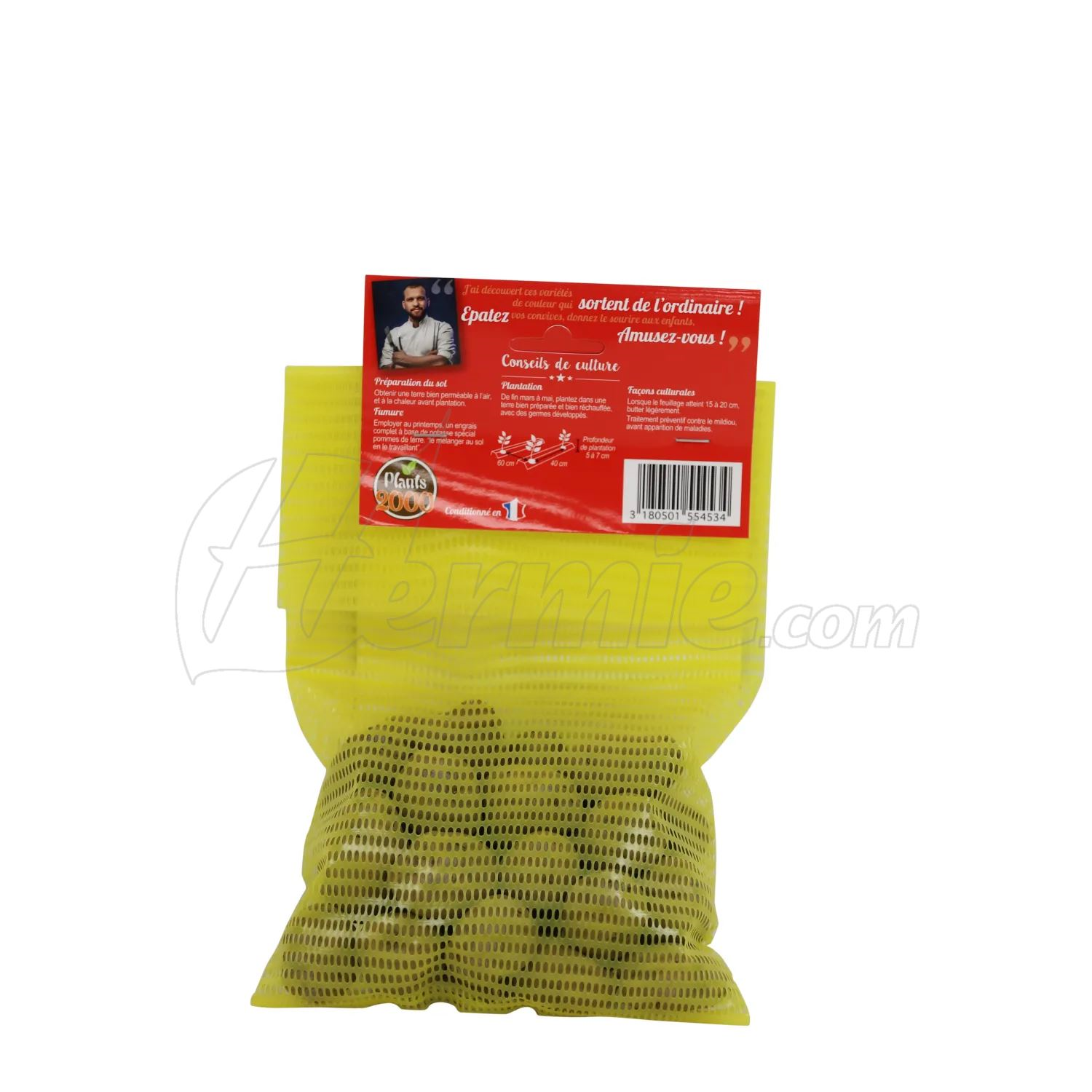 Debaere seed potato Vitelotte (Chair Violette) bag 25 pieces - 25/32 (France)