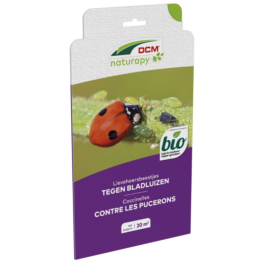 DCM Adali Guard - 100 larven van het lieveheersbeestje - tegen bladluizen - 20m²