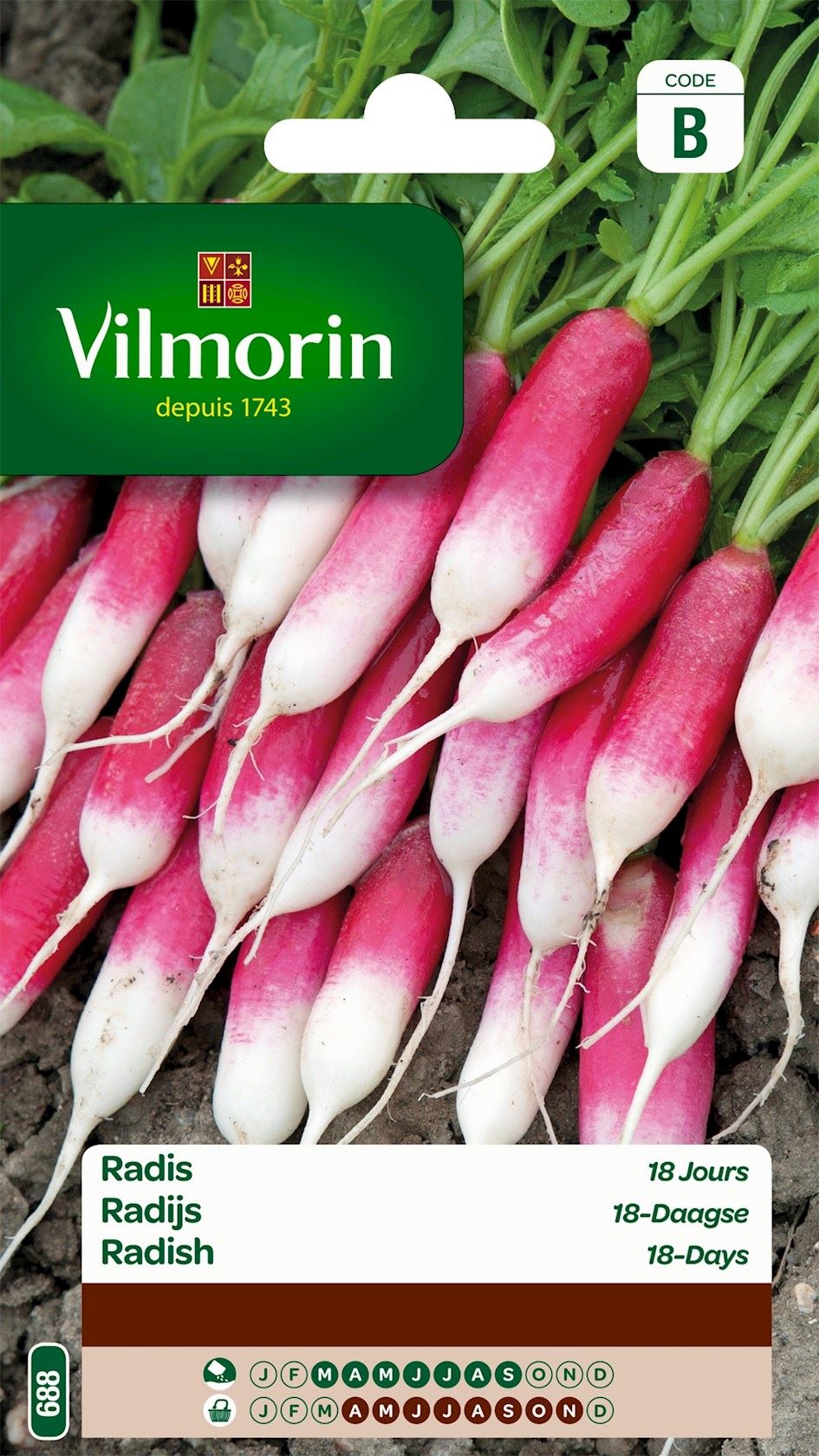 Radish 18-Day