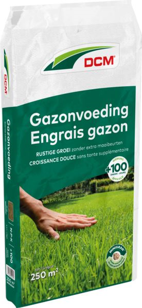 DCM gazonmeststof  20kg voor 250m²