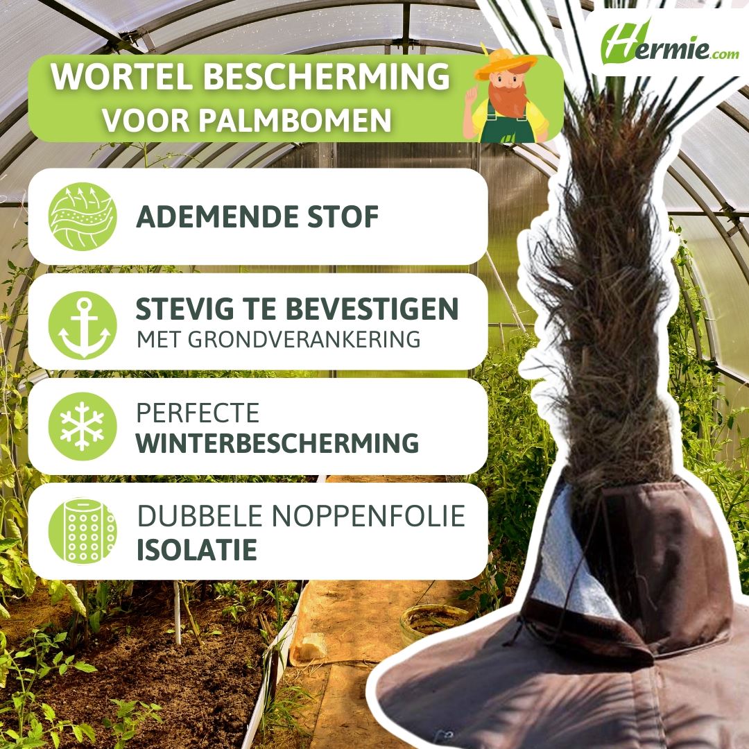 Palm-wortel-bescherming