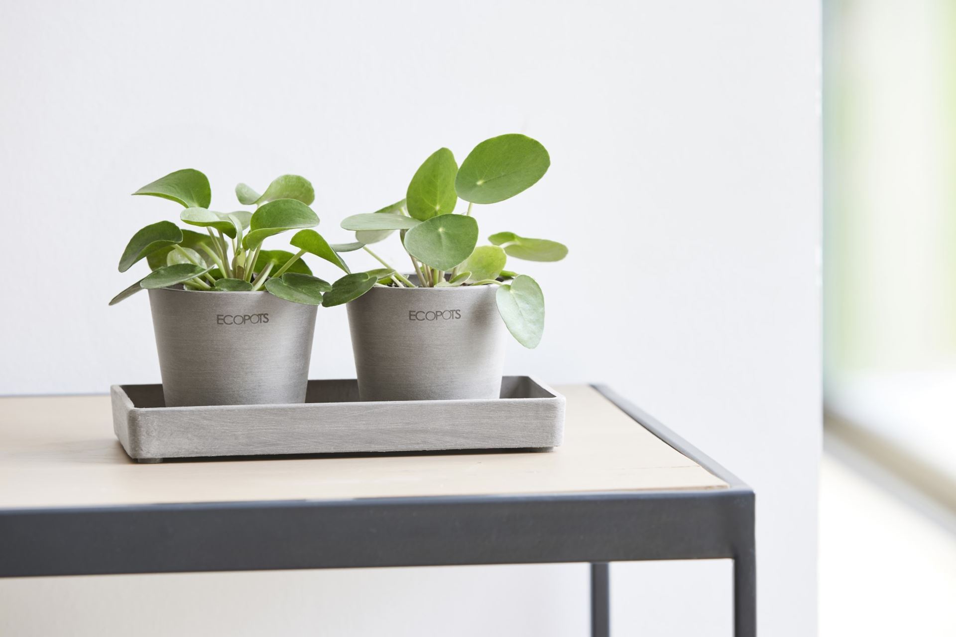 Ecopots-display-platter-taupe-20-LBH-20x10x2-5-cm