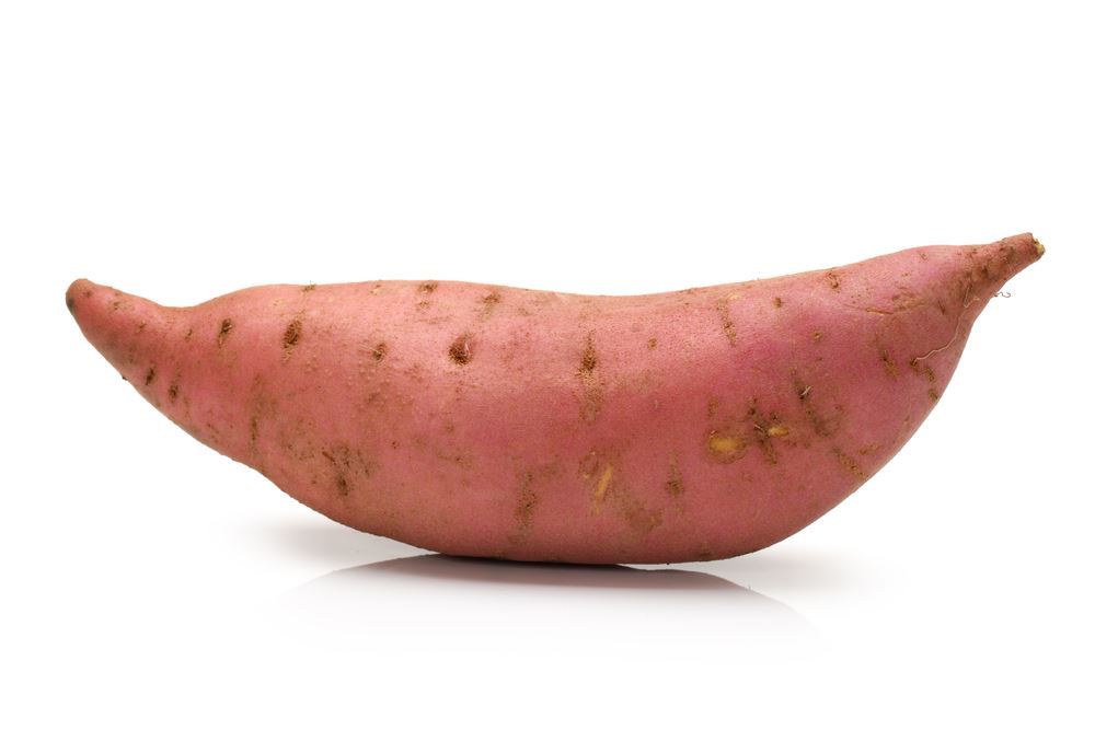 Plantenfiche-Ipomoea-batatas-Zoete-aardappel-
