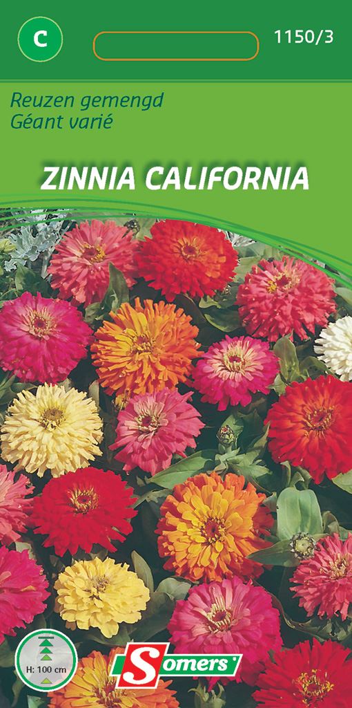 zinnia-reuzen-gemengd-californ