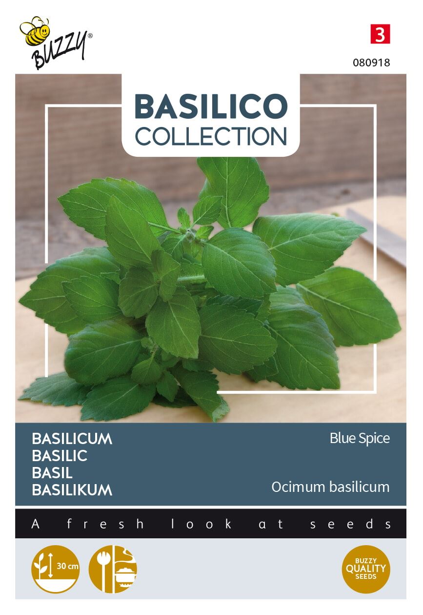 Buzzy-Basilicum-Blue-Spice