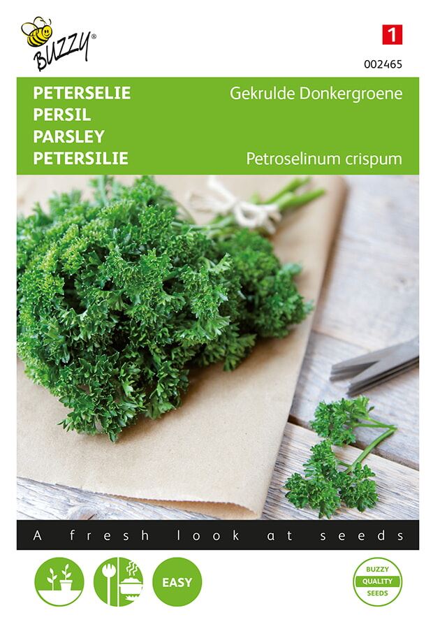Buzzy® Parsley seeds - curly dark green