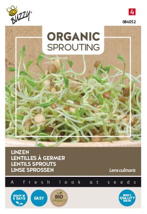Buzzy-Organic-Sprouting-Linzen-BIO-