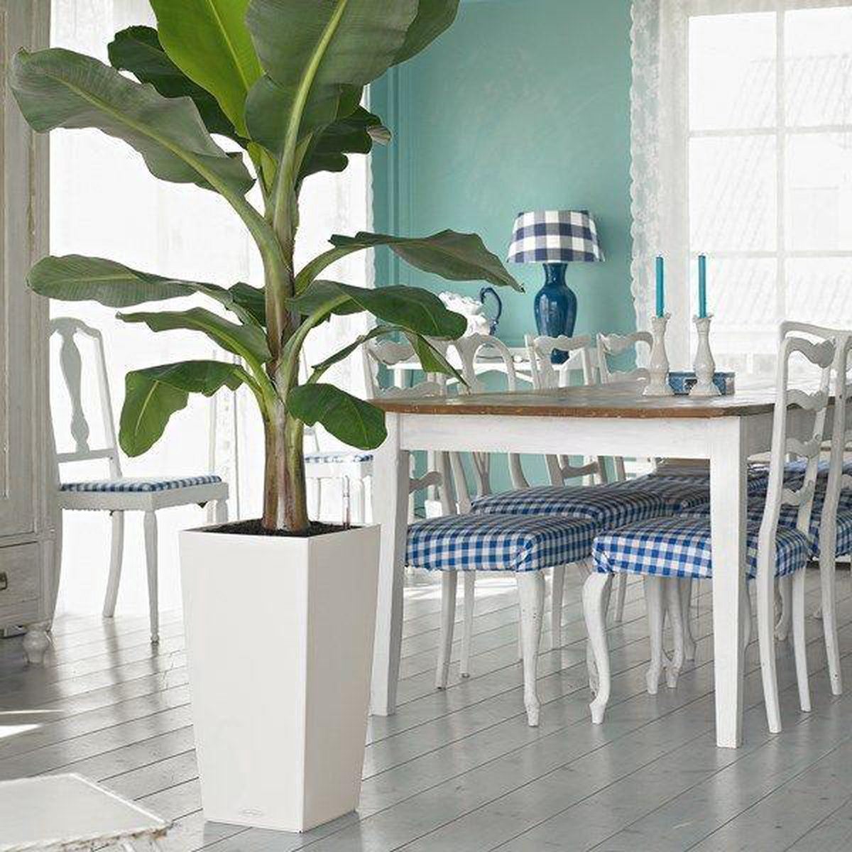 Flower-pot-Urbi-square-white-L32-x-B32-x-H61-cm
