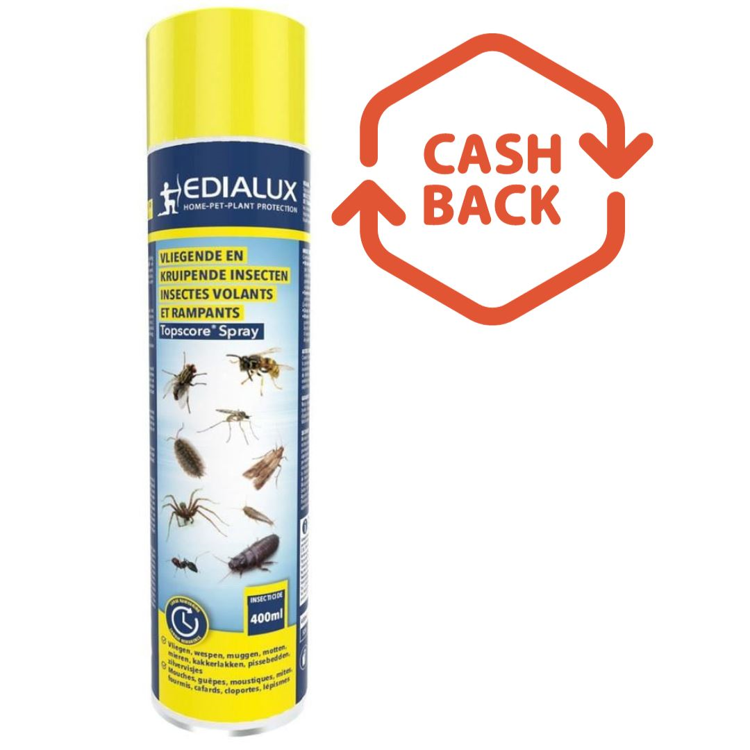 Edialux Topscore spray 400ml - Spray contre tous les insectes volants et rampants dans et autour de la maison