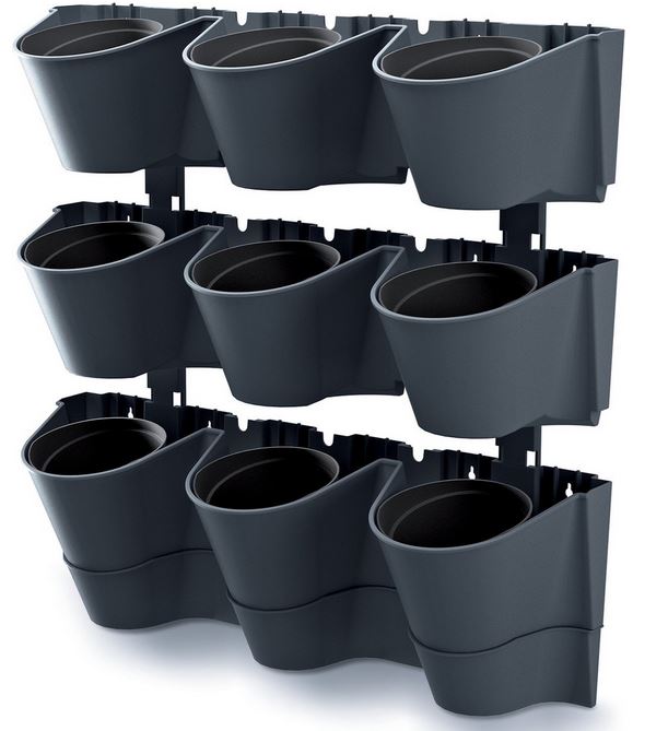 5 tips voor het onderhoud van jouw kamerplanten 5 tips voor het onderhoud van jouw kamerplanten
