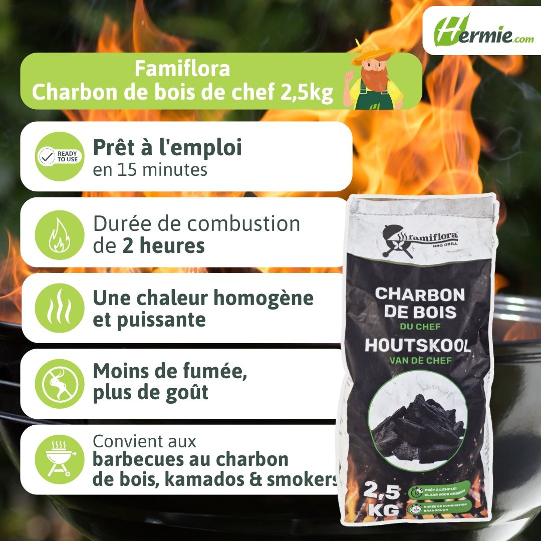 Famiflora - Chef's Famigrill charcoal 2.5kg - professional quality