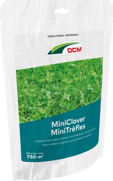 DCM Miniclover 0.75 KG - Extremely small lawn clover to combine with grass seed