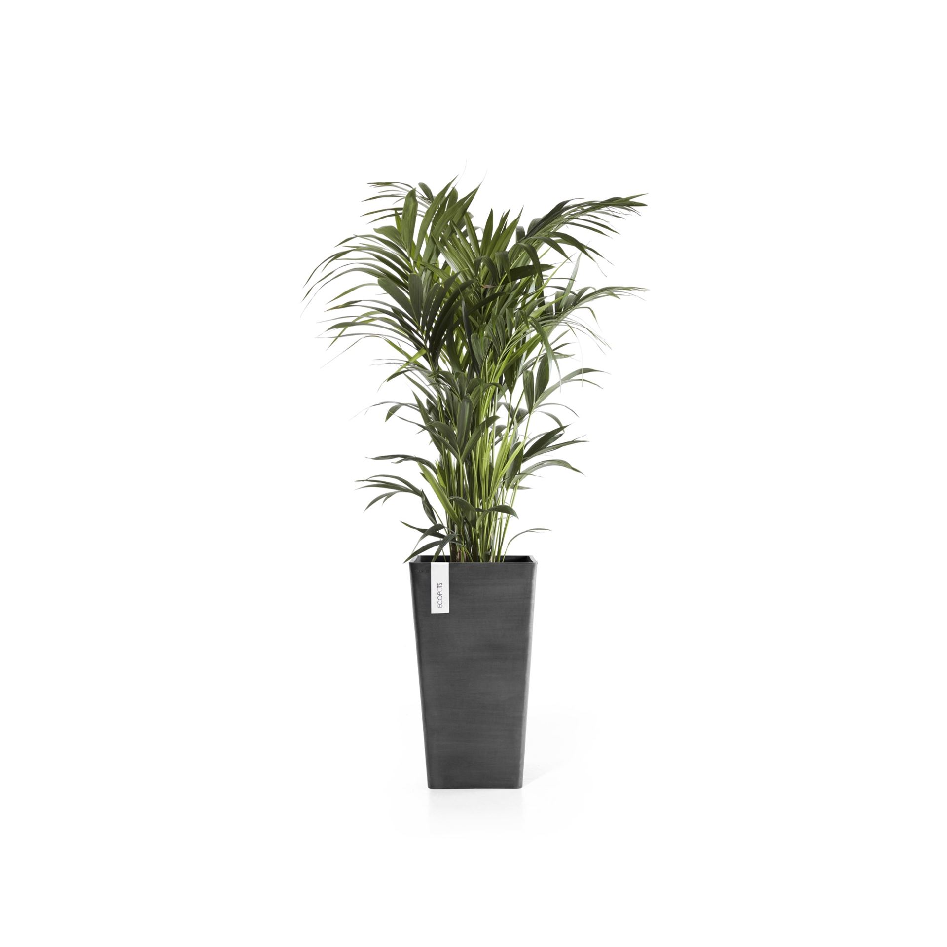 Ecopots-rotterdam-high-dark-grey-LBH-30x30x56-cm