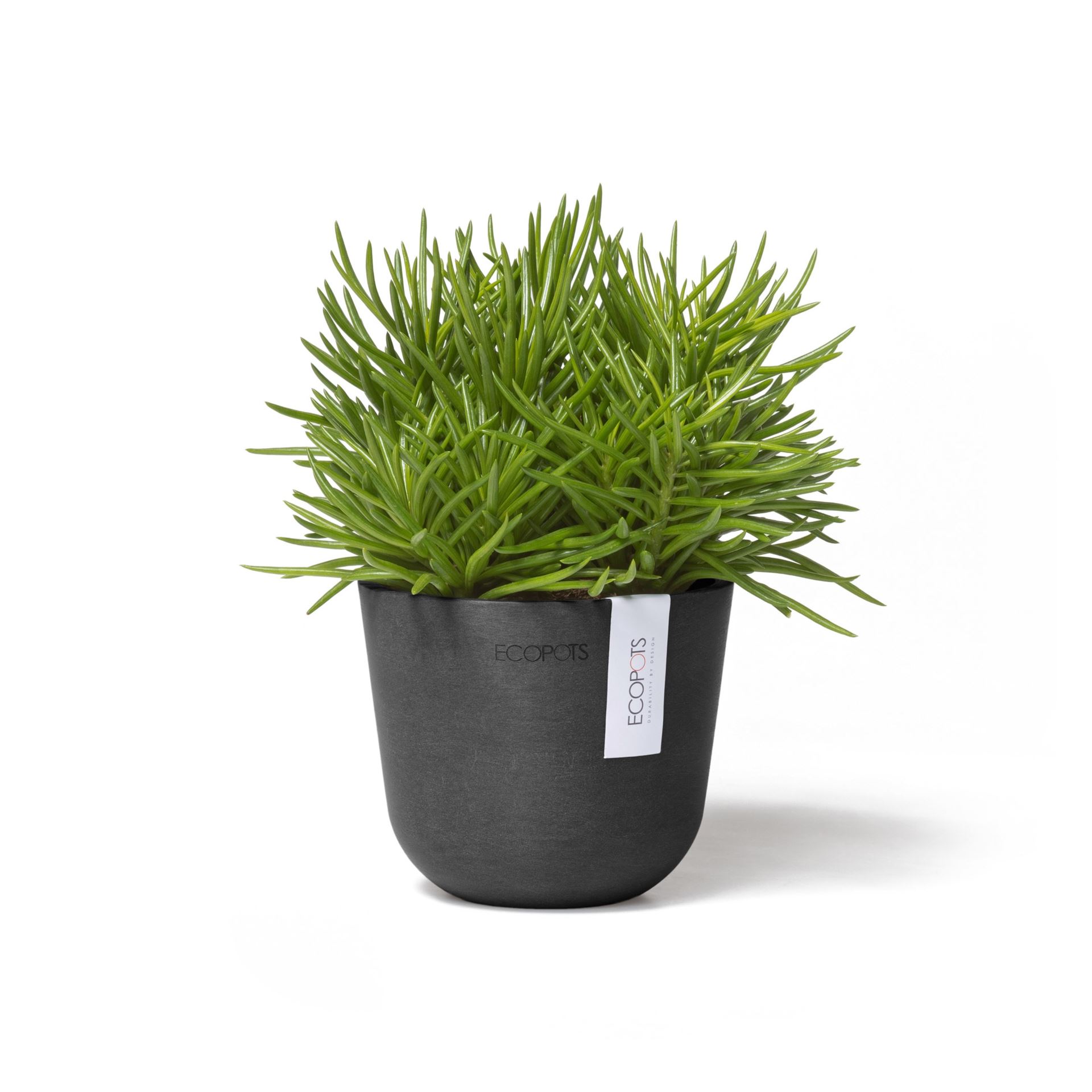 Ecopots-oslo-mini-dark-grey-11-5-cm-H10-cm