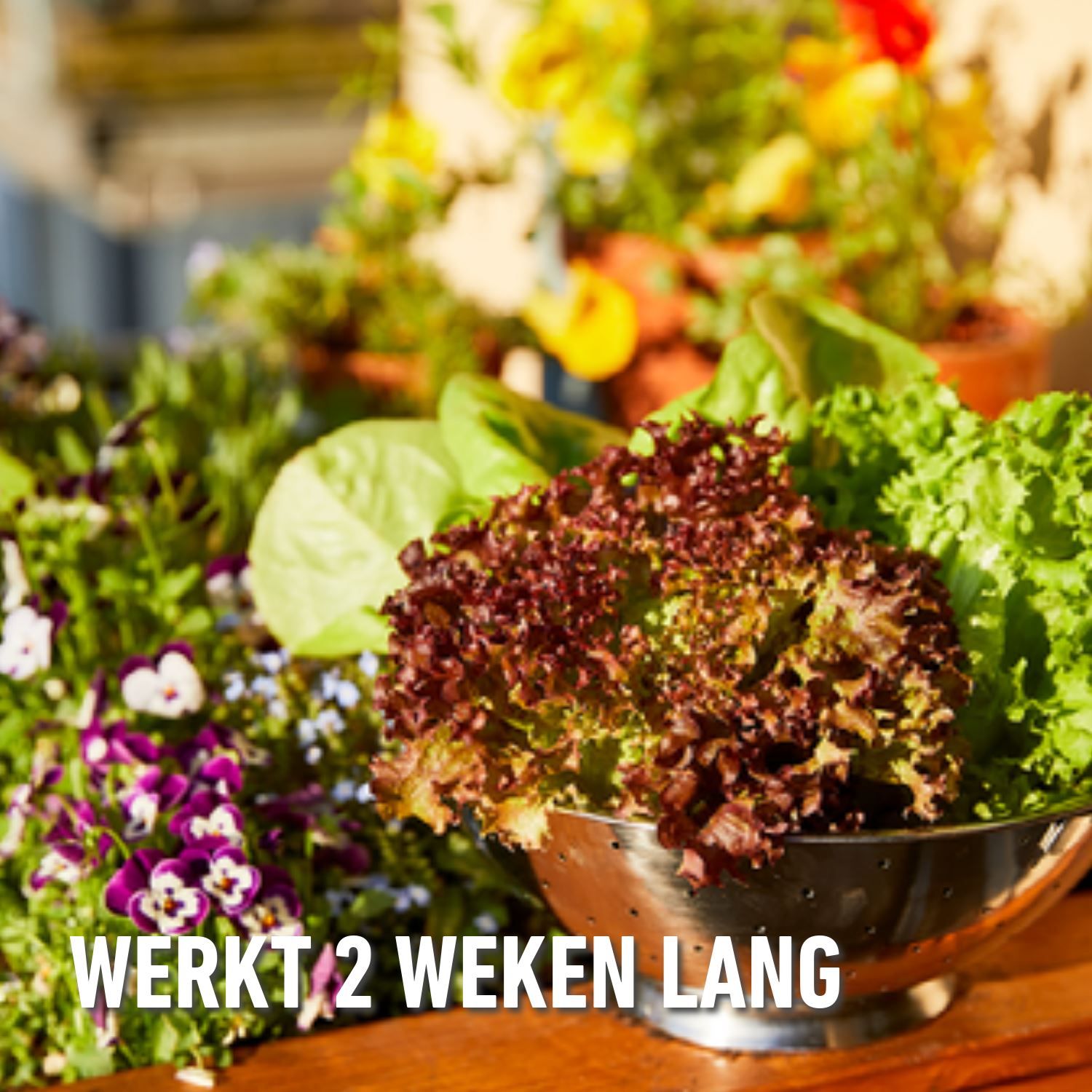 Compo-karate-garden-groenten-fruit-concentraat-200ml