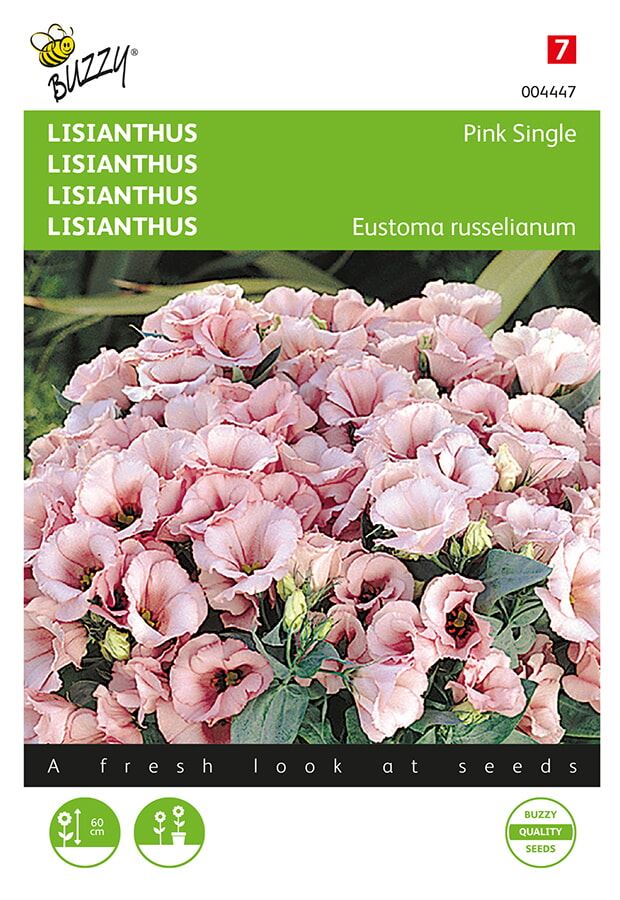Buzzy-Lisianthus-mini-roze