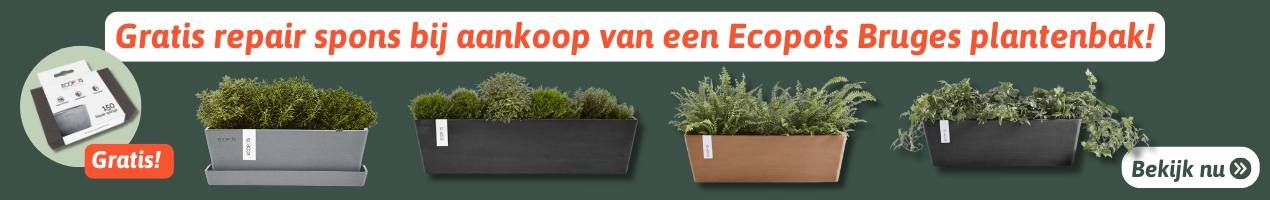 free repair sponge ecopots