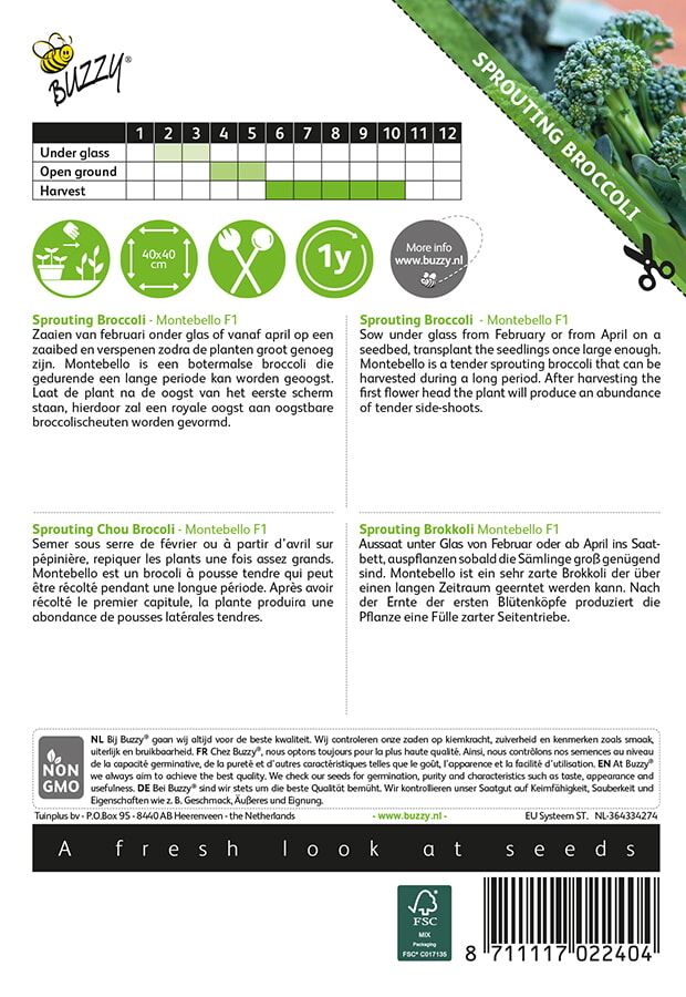 Buzzy-Sprouting-Broccoli-Montobello-F1