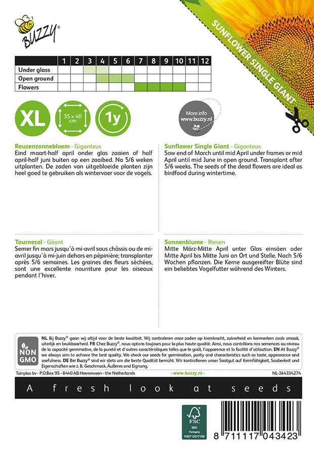 Buzzy-Helianthus-Reuzenzonnebloem-Giganteus