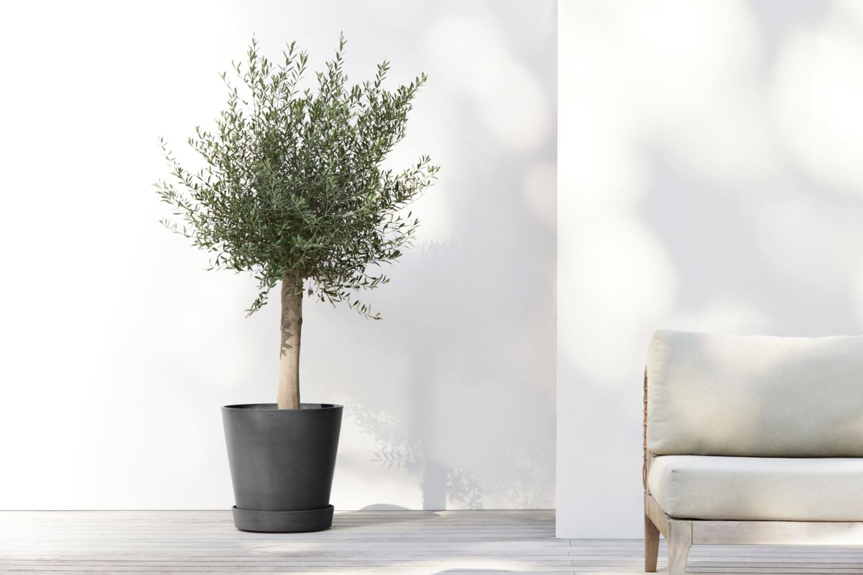 Ecopots-onderschotel-rond-met-wielen-dark-grey-50-cm-H9-cm