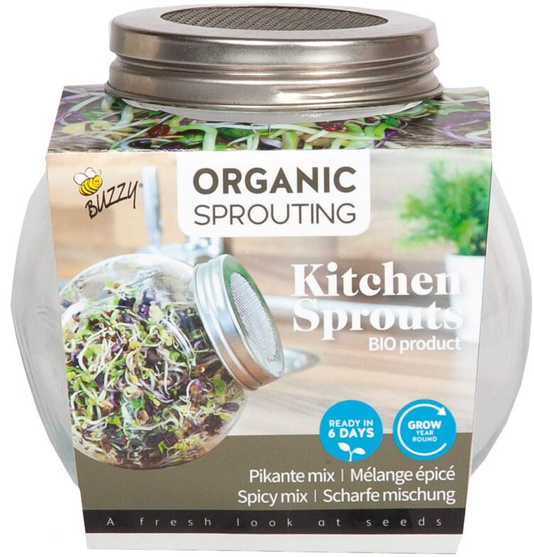 Buzzy-Organic-Spruitgroente-Pikante-Salade-glazen-pot-6-