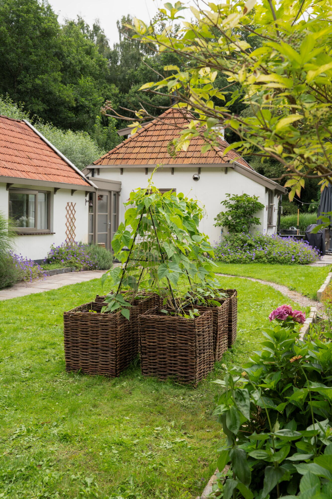 SOGO Klimframe Set - 180 cm - Inclusief 2 Jute Netten