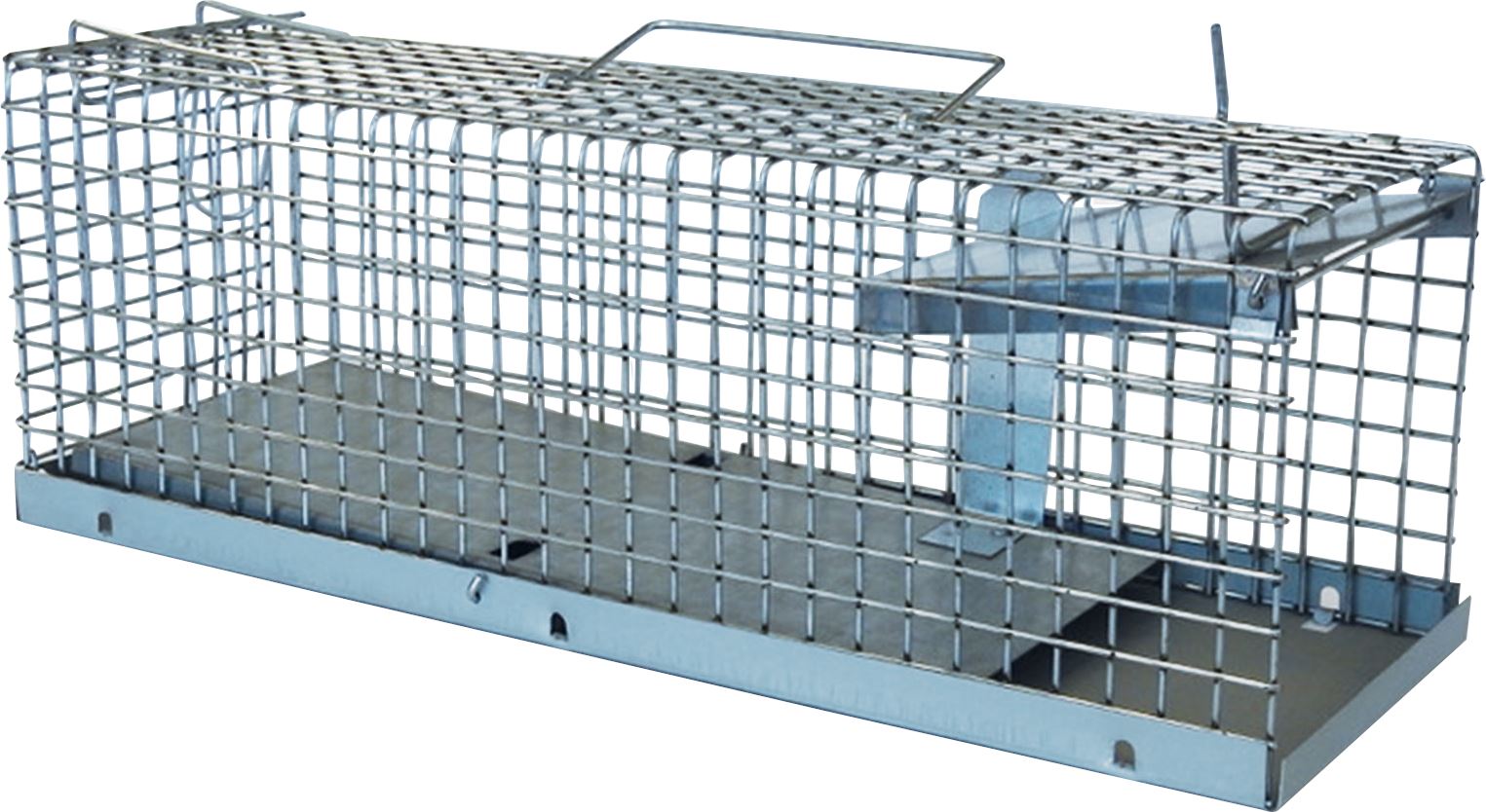 cage piège à rats