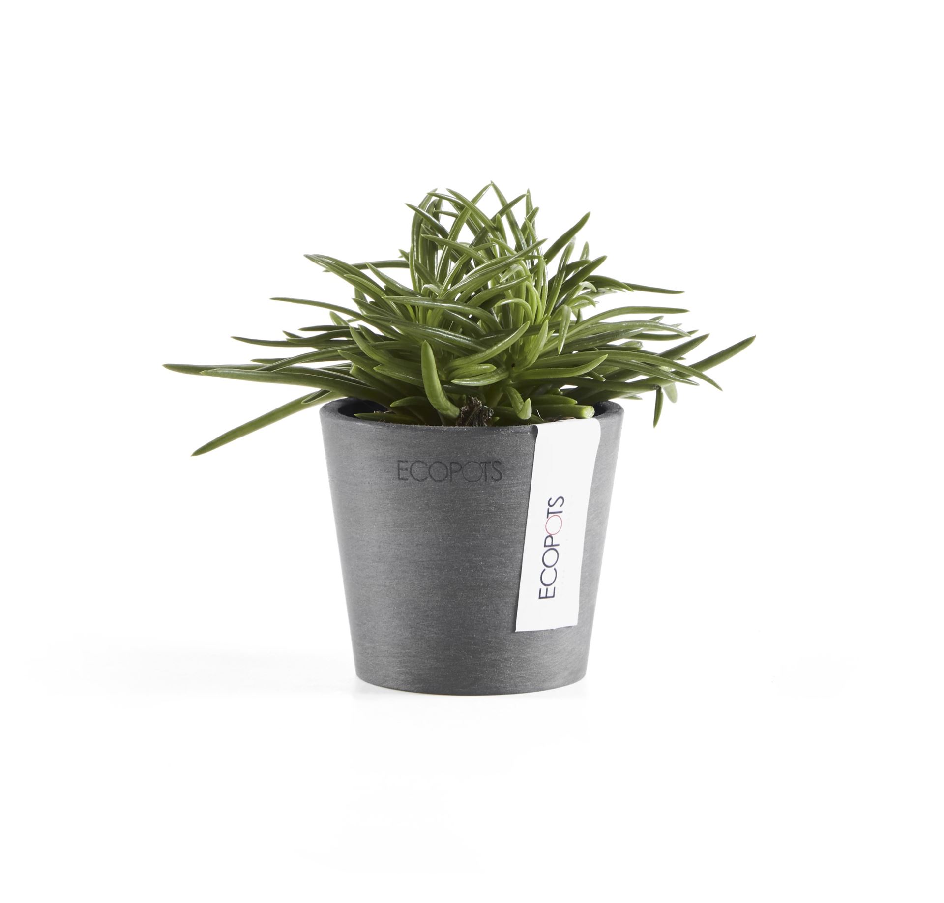 Ecopots-amsterdam-mini-grey-8-cm-H7-cm