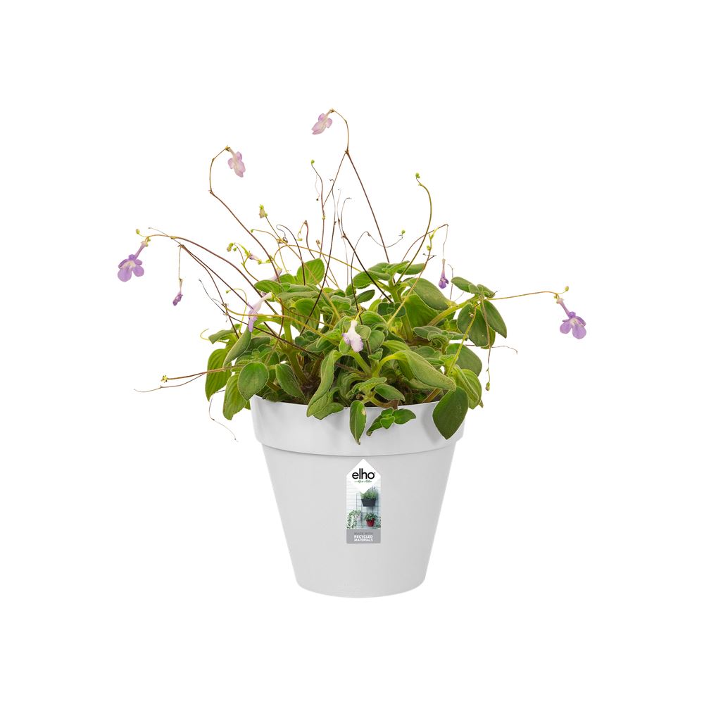 loft-urban-green-wall-single-15cm-wit