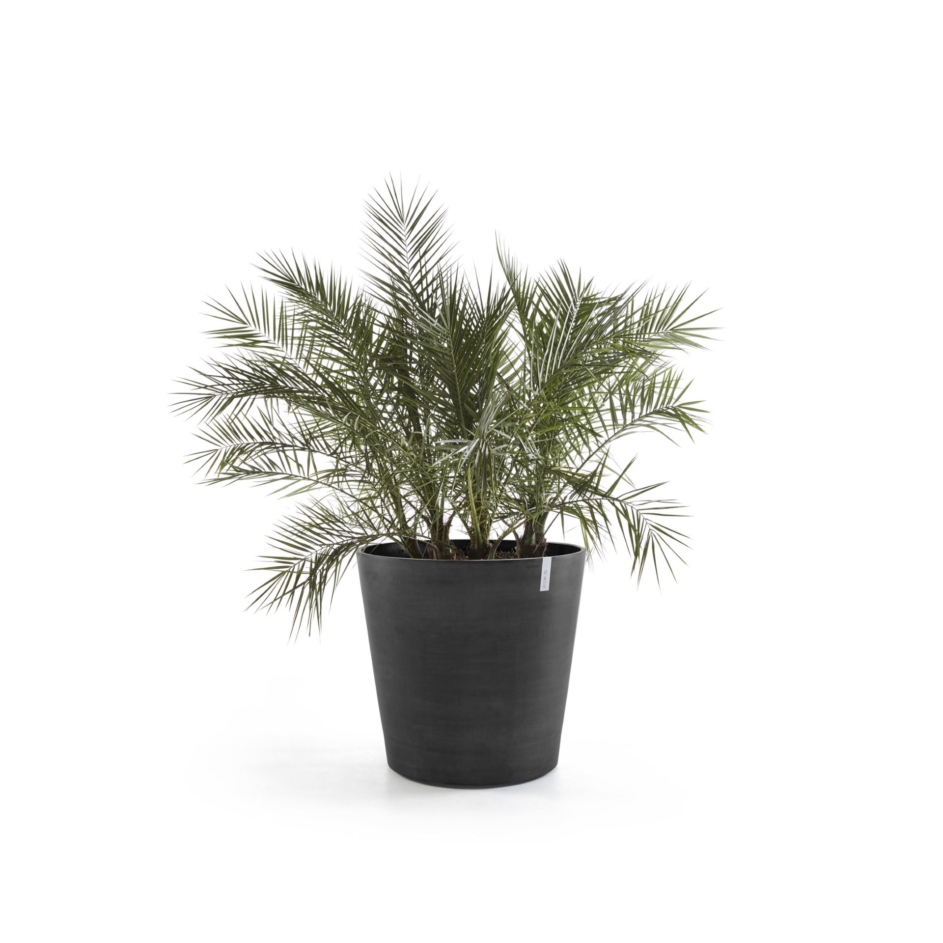 Ecopots-amsterdam-wheels-dark-grey-80-cm-H72-cm-incl-3-wielstops