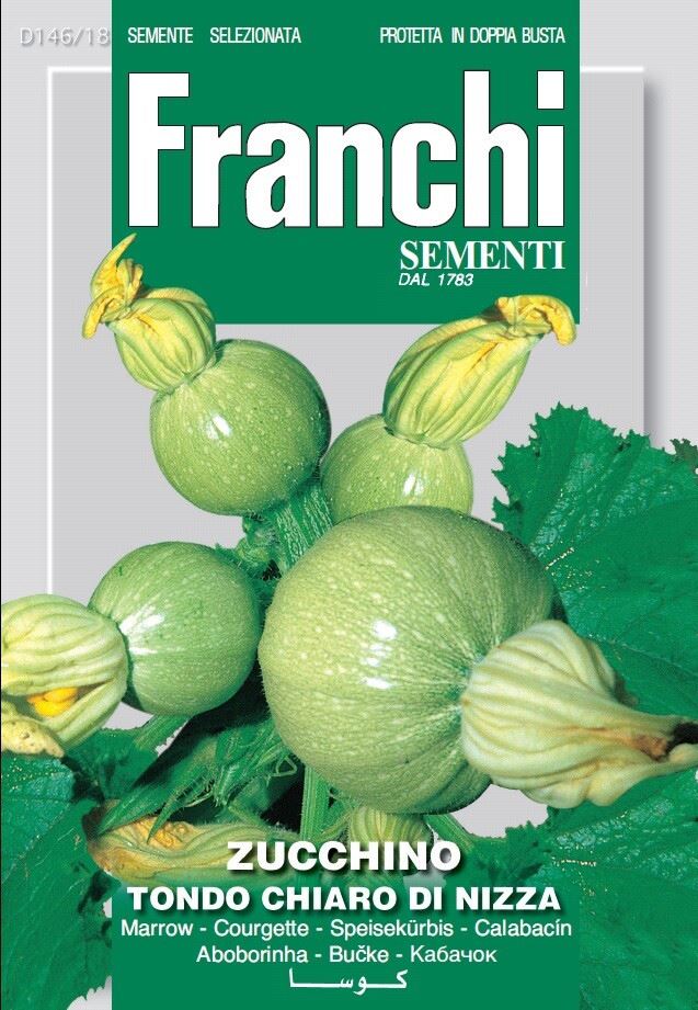 Fr-Courgette-Zucchino-Tondo-Chiaro-Di-Nizza-146-18