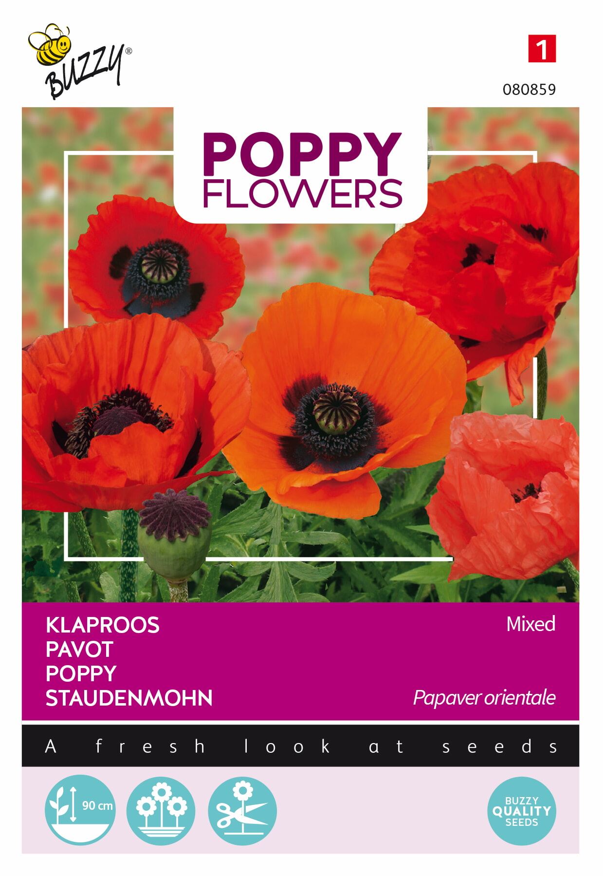 Buzzy-Poppies-of-the-world-Orientaalse-papaver