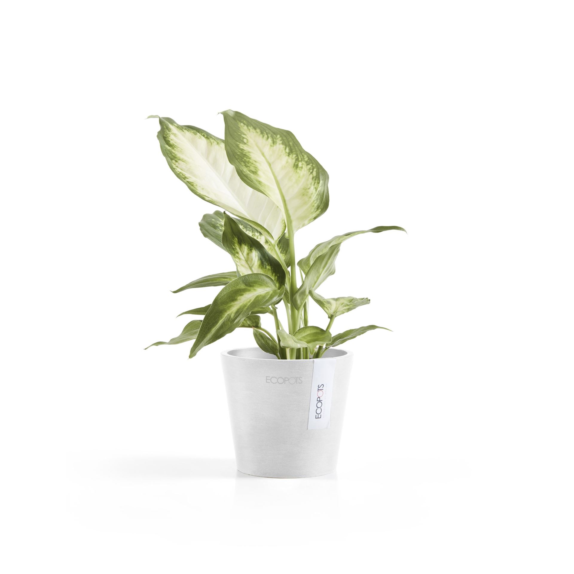 Ecopots-amsterdam-mini-pure-white-10-5-cm-H9-2-cm