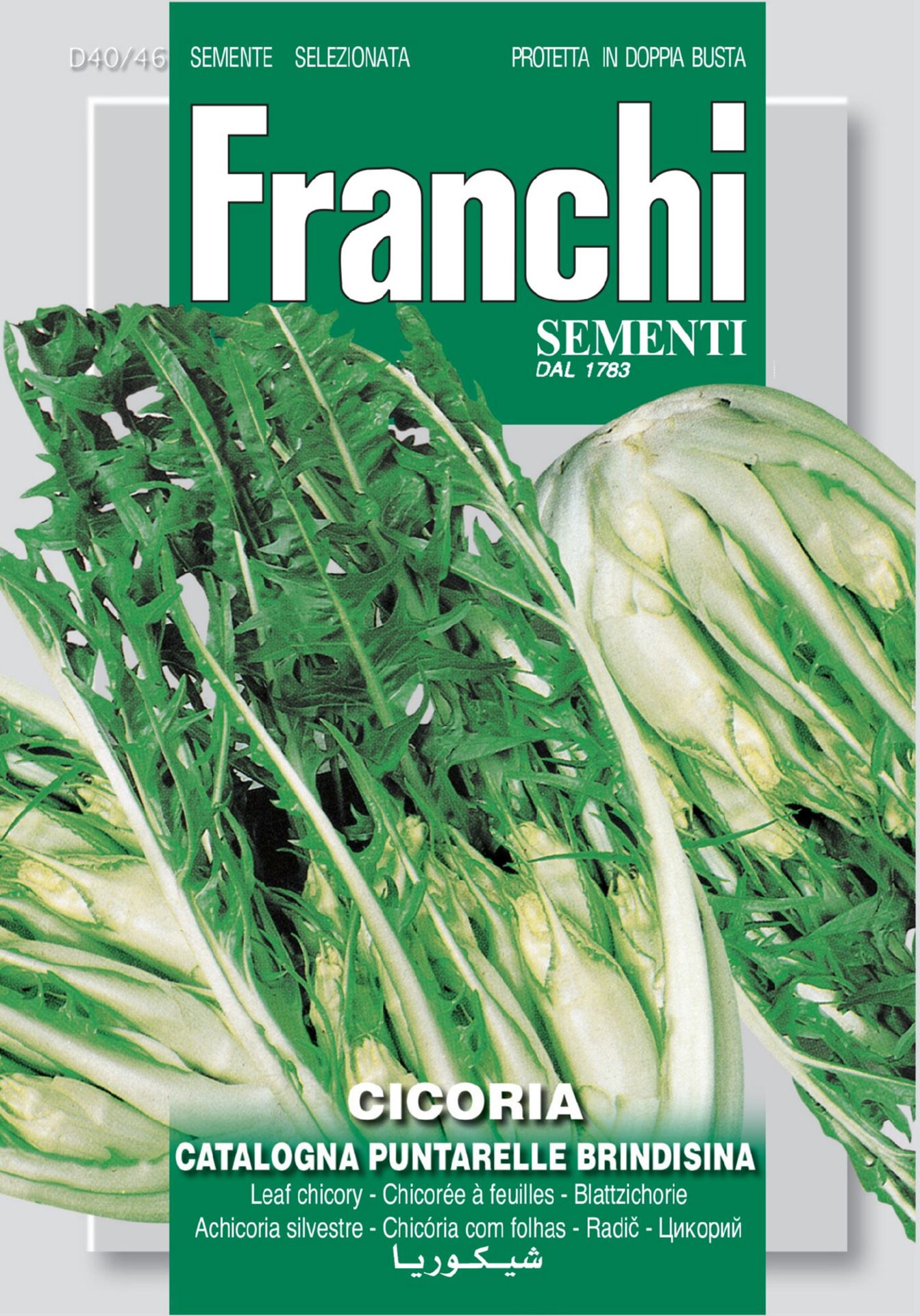 Franchi Sementi Witlof zaden - Cicoria Catalogna Puntarella Brindisina