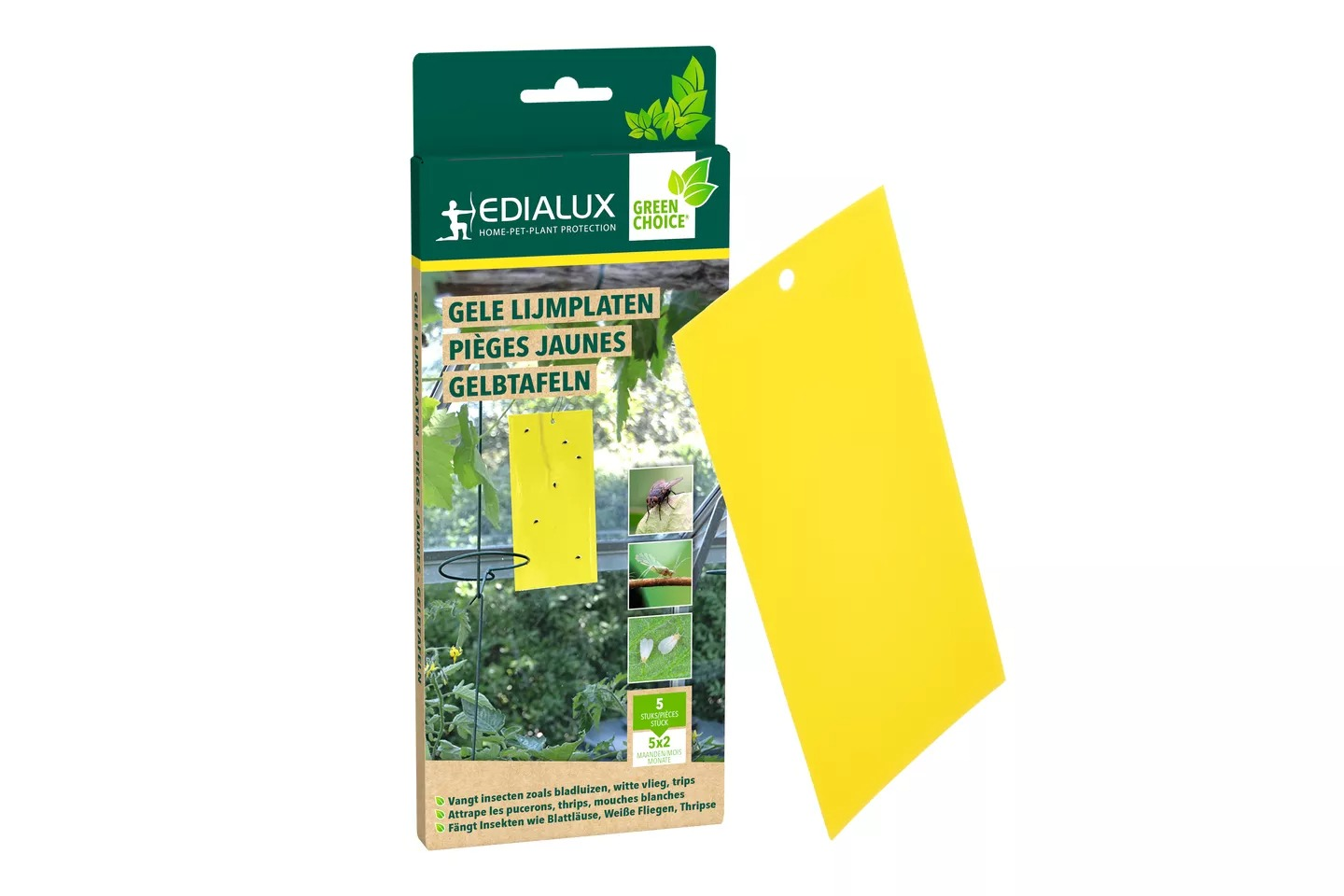 Edialux gele lijmplaten tegen insecten - 5 stuks
