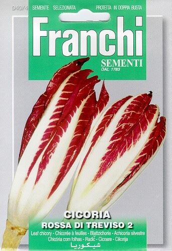 Franchi Sementi Roodlof zaden - Cicoria Rossa Di Treviso