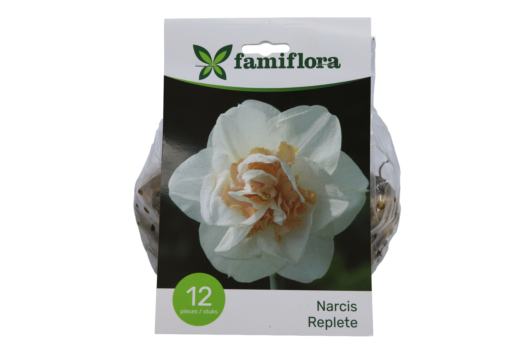 Famiflora Narcissus Replete - 12 bulbes - Taille 12/14 - Bulbes de printemps